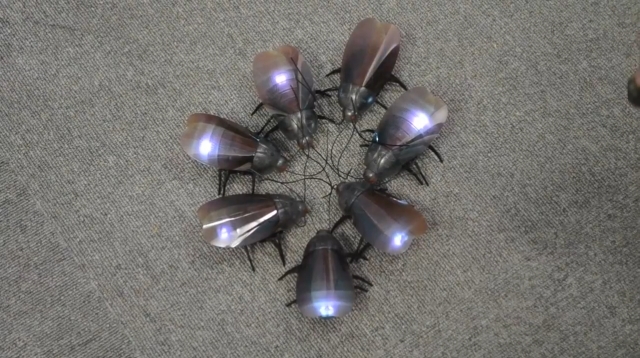 Радиоуправляемые роботы-тараканы уже в продаже (5 фото + видео) 