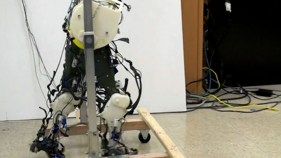 Двуногий робот с человеческой походкой (видео)