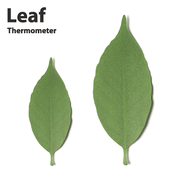 Японские листья-термометры (3 фото)