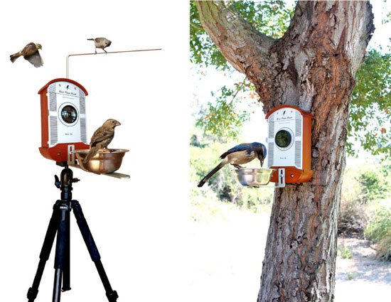 "Птичья фотокамера" от Kickstarter (видео)