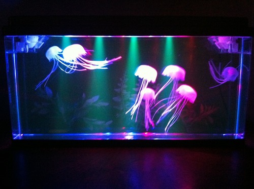 Аквариум с электронными медузами (7 фото)