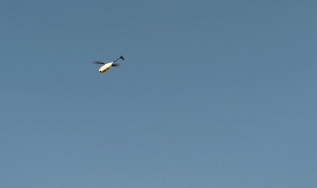 Разведывательный вертолет на ладони (4 фото)