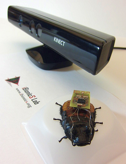 Тараканы-киборги под управлением Microsoft Kinect