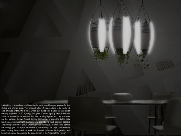 Светильники LivingLight получают электричество из растений (4 фото)