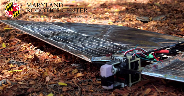 Робот-ворон на солнечной энергии (видео)
