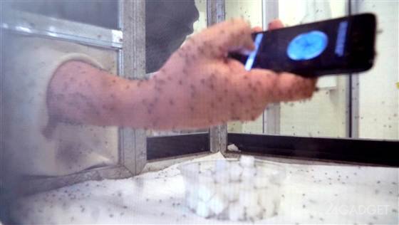 Могут ли приложения для смартфонов защитить от комаров? (3 фото + видео)