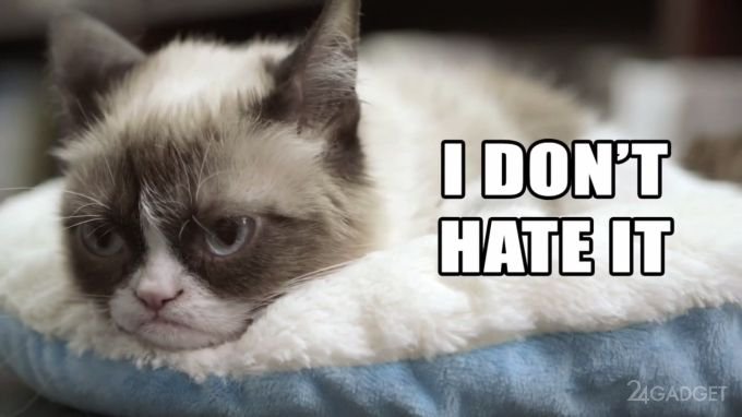 Сердитый кот одобряет Samsung Galaxy Tab 4 Nook (2 видео)