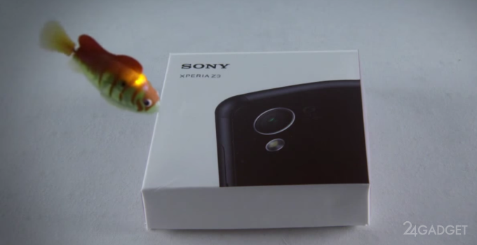 Sony Xperia Z3 - лучший смартфон для человека-амфибии (видео)