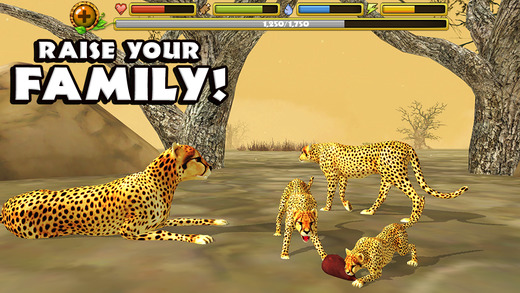 Cheetah Simulator 1.1 Симулятор гепарда