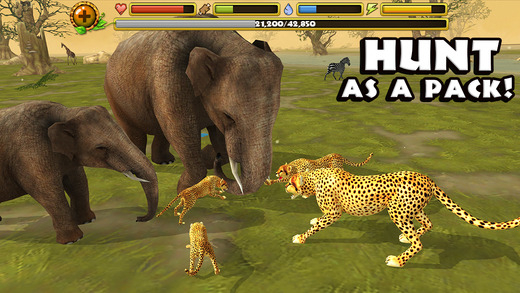 Cheetah Simulator 1.1 Симулятор гепарда