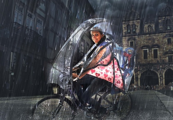 LeafxPro - зонтик-листок для велосипеда (5 фото + 2 видео)