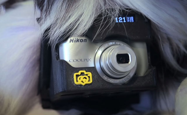 В Nikon разработали фотоаппарат для собак (13 фото + видео)