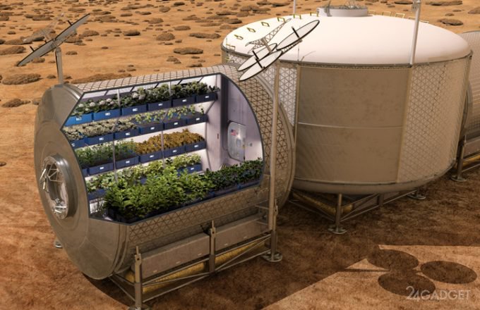 Астронавты на МКС собрали пригодный для употребления урожай космического салата (видео)