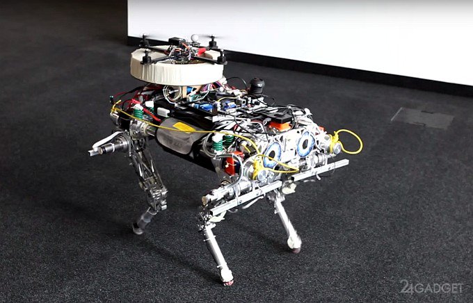 Беспилотник оседлал роботизированную собаку (видео)