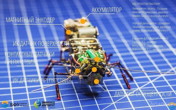 Российские учёные создали робота-таракана (7 фото)