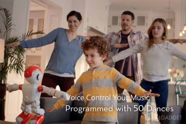 Домашний робот для общения и развлечений (10 фото + видео)