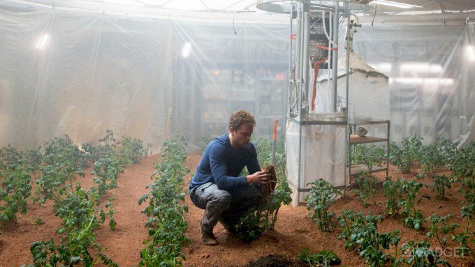 На Марсе вместо яблонь будут выращивать картофель (4 фото)