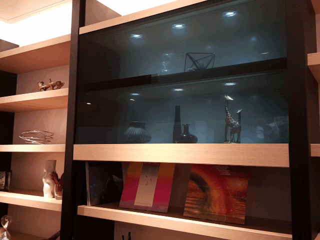 65-дюймовая прозрачная панель заменит стекло в шкафу (3 фото + 2 видео)