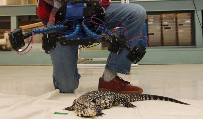 Портативный 3D-сканер для изучения животных в естественной среде (видео)