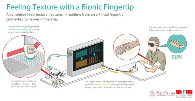 Бионический палец научили различать поверхности (3 фото + видео)