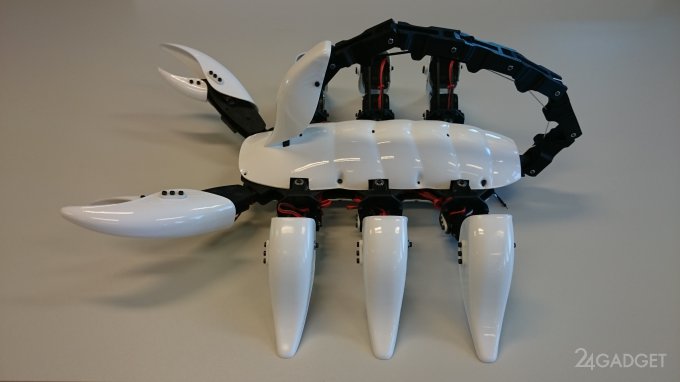 Опасный робот-скорпион (19 фото + видео)
