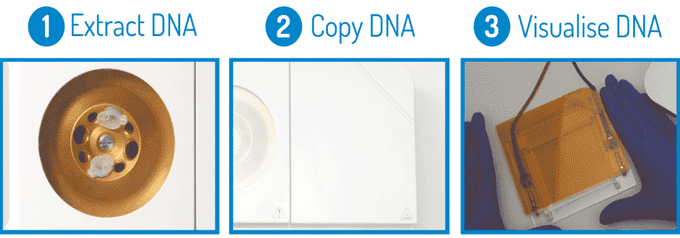 Портативная ДНК-лаборатория (8 фото + видео)