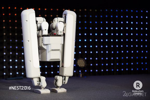 Двуногий робот с хорошей координацией (3 фото + видео)