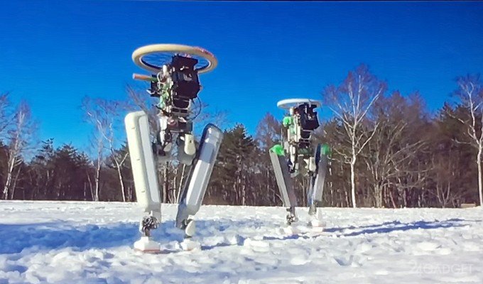 Двуногий робот с хорошей координацией (3 фото + видео)