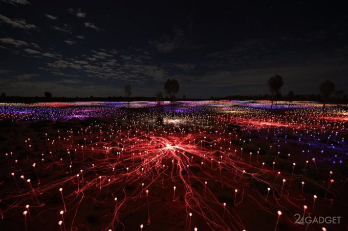 Невероятная световая инсталляция из 50 000 светодиодов (14 фото + видео)