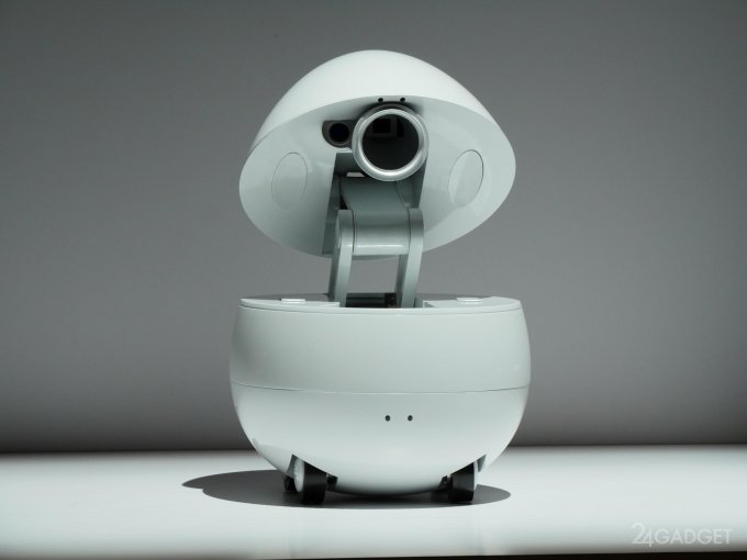 Робот-компаньон от Panasonic похож на яйцо (6 фото + видео)