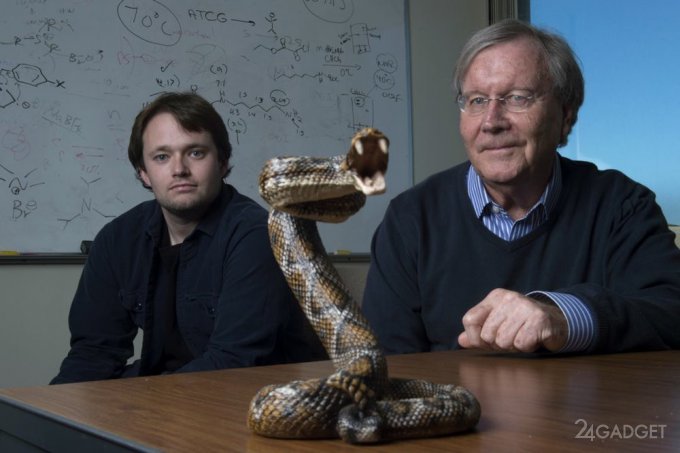 Биологи представили универсальный змеиный антидот