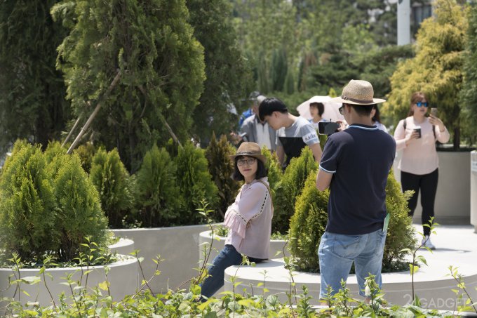 Автостраду в центре Сеула превратили в ботанический сад (19 фото)