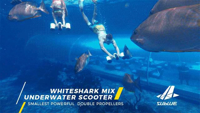 Миниатюрный подводный скутер WhiteShark MIX (6 фото + видео)