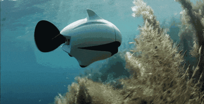 Подводный дрон для дайверов и не только (12 фото + видео)