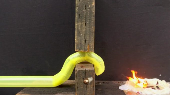 Робот-змея будет помощником спасателей и врачей (5 фото + видео)