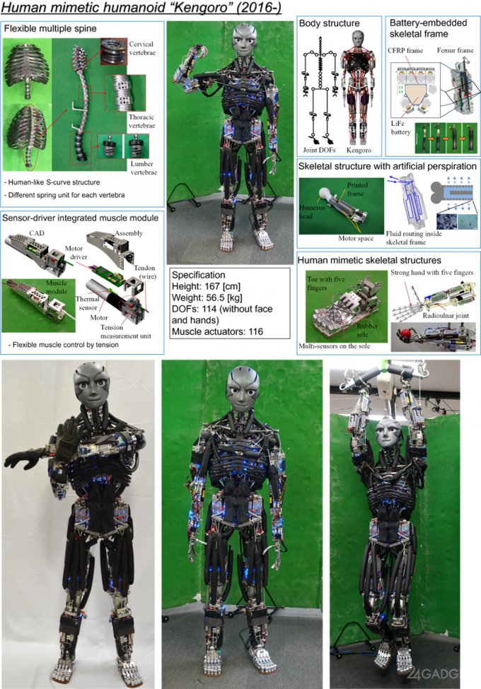 Японские роботы-гуманоиды дают уроки физподготовки (6 фото + видео)