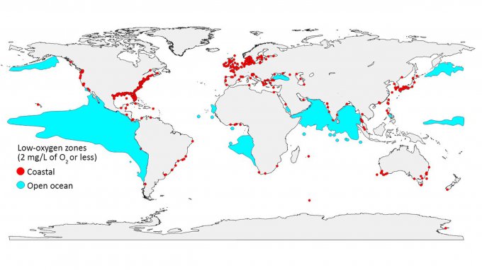 Количество мёртвых участков в Мировом океане увеличивается