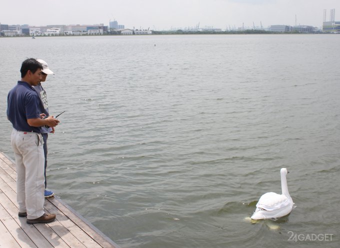 В водохранилищах Сингапура поселились роботы-лебеди (9 фото + видео)