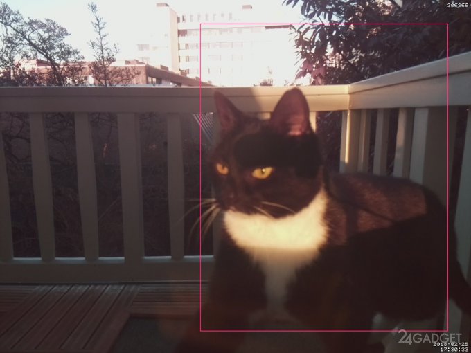 Программист использует "Face ID" для кота (3 фото)