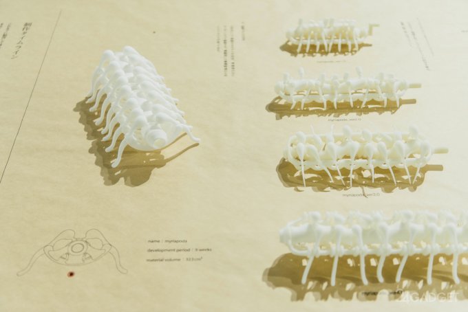 Японские дизайнеры напечатали «живых» 3D-жуков (9 фото + видео)