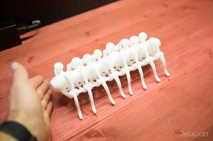 Японские дизайнеры напечатали «живых» 3D-жуков (9 фото + видео)