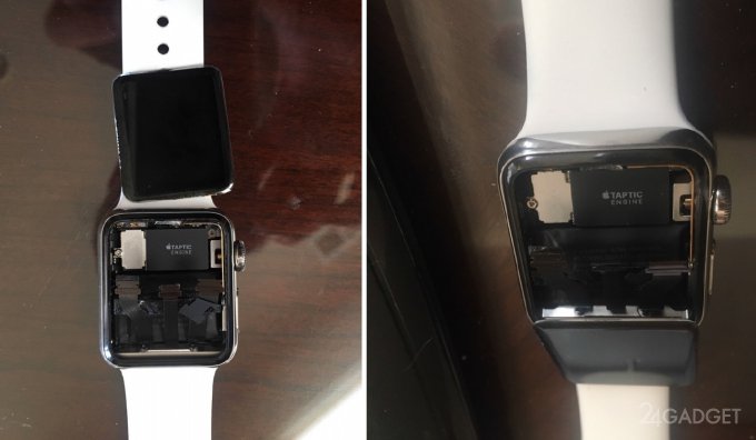 Во всех поколениях Apple Watch есть дефект (2 фото)