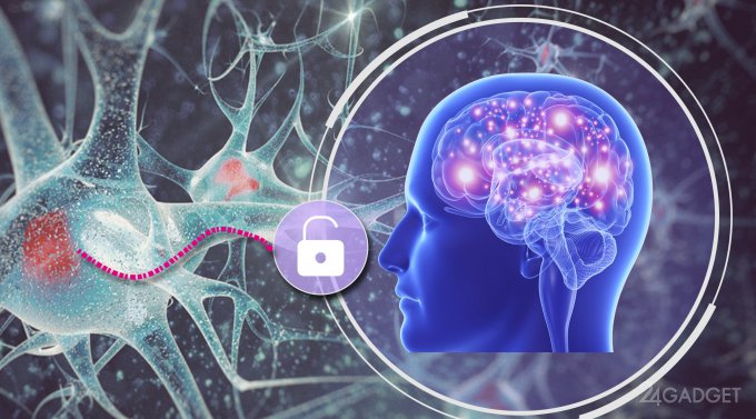 "Brain print" will replace all known authentication methods