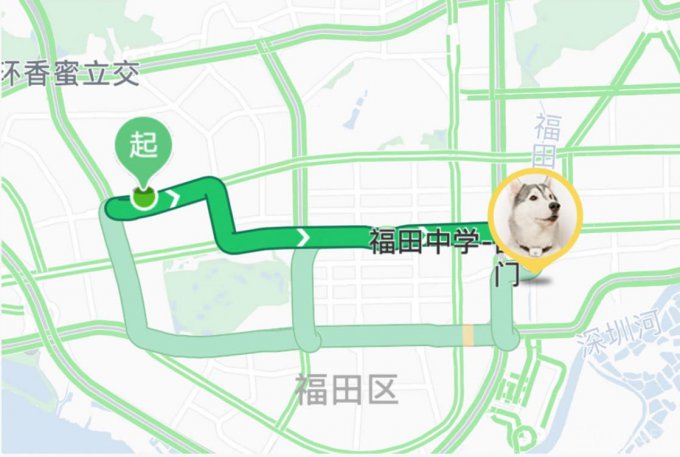 Xiaomi выпустила трекер с GPS для отслеживания питомцев (7 фото)