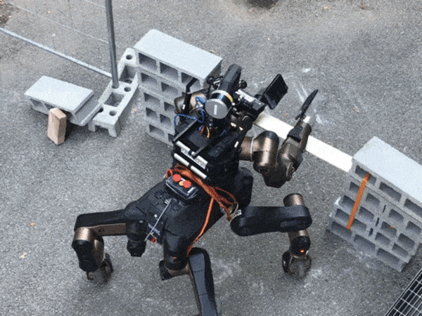 Робот-спасатель показал свои боевые навыки (5 фото + видео)
