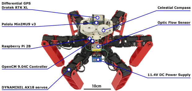 AntBot – робот, получивший навигационную систему муравьев (3 фото + 2 видео)