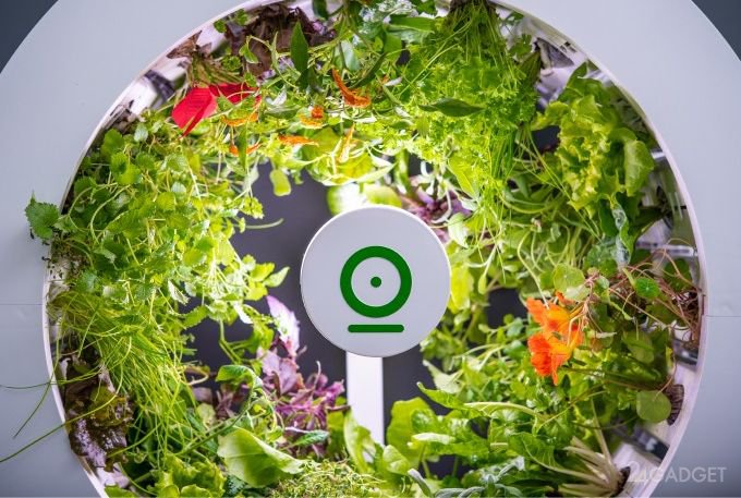 OGarden — фантастический круговой сад для любого дома (9 фото + видео)
