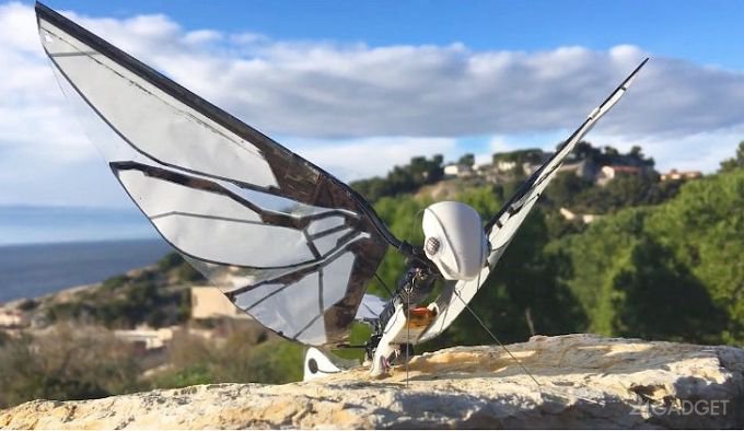 MetaFly — удивительный робот, летающий подобно бабочке (5 фото + видео)