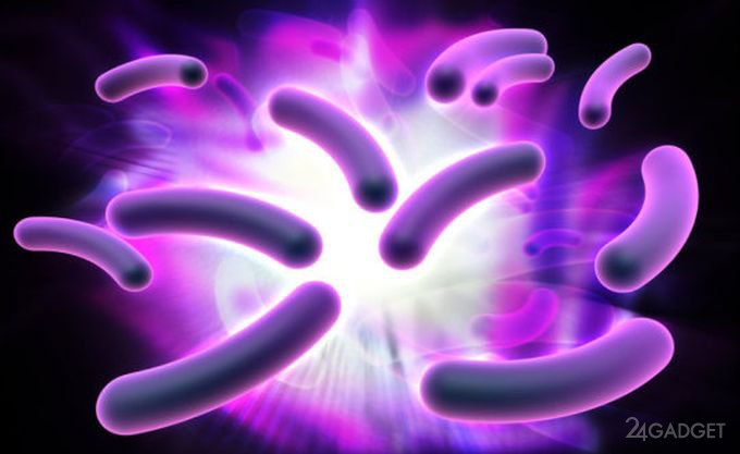 Учёными обнаружены бактерии, поедающие электричество