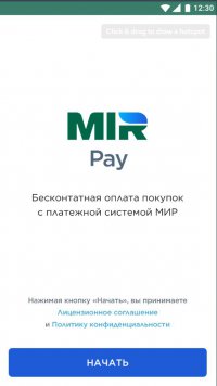 В России запустили свою систему бесконтактной оплаты – Mir Pay (5 фото)
